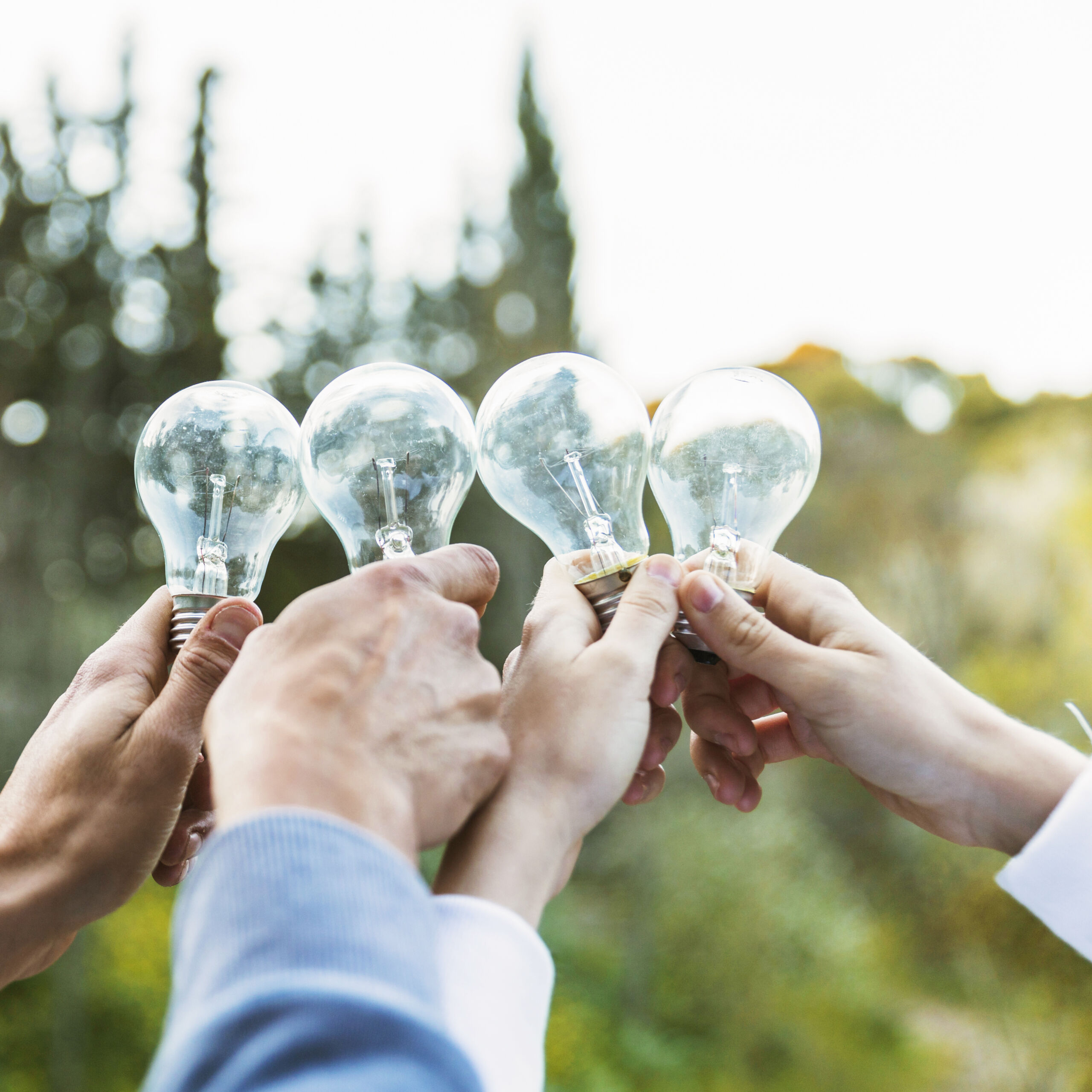 hands-holding-bulbs-ecology-day